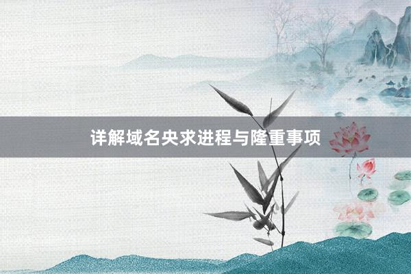 详解域名央求进程与隆重事项