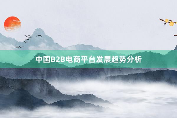 中国B2B电商平台发展趋势分析